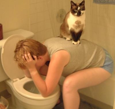 Tags: cat on  guy throwing up